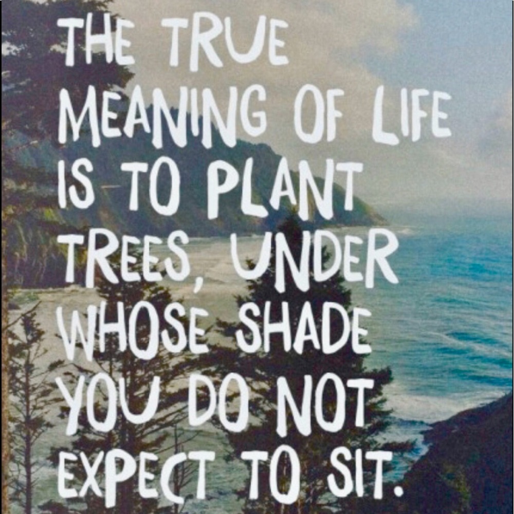 Inspirational Tree Quote